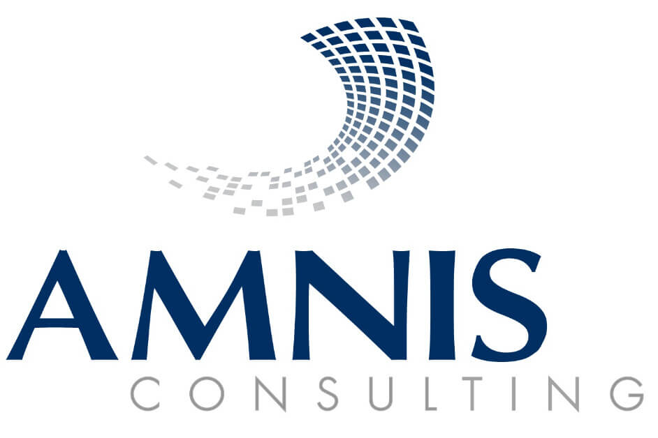 https://www.amnis-consulting.fr/