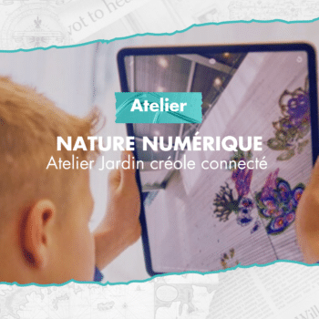 Nature Numérique : Atelier Jardin créole connecté